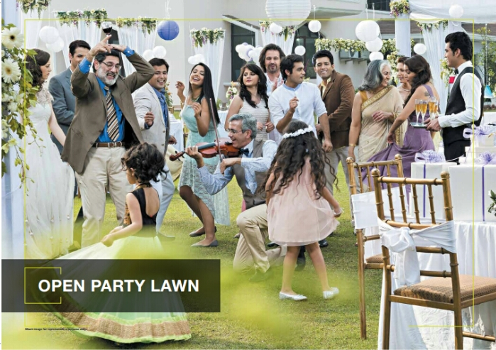 Party Lawn